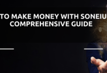 How to Make Money with Soneium